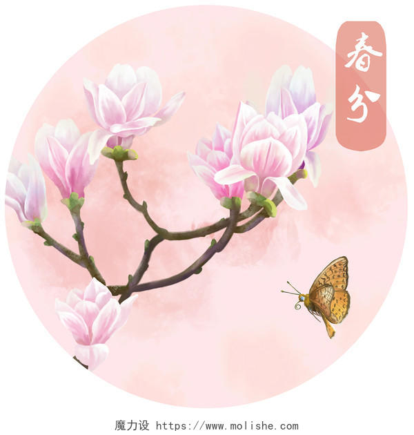 立春卡通手绘中国风24节气春分节气素材
